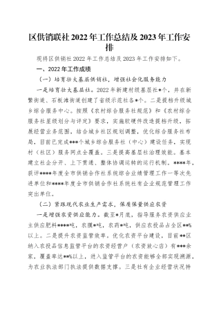 区供销联社2022年工作总结及2023年工作安排