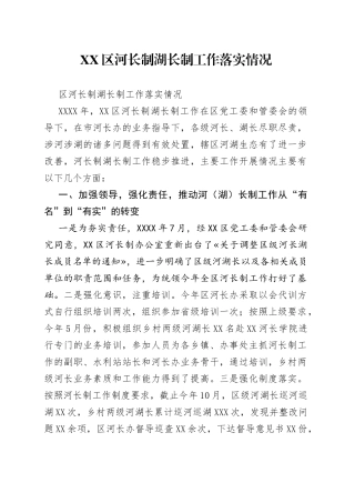 区河长制湖长制工作落实情况