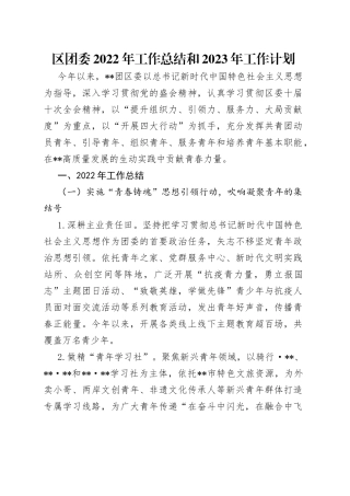 区团委2022年工作总结和2023年工作计划
