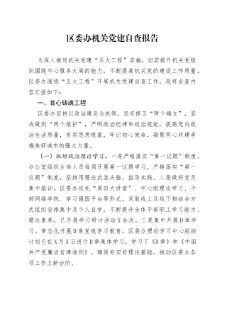 区委办机关党建自查报告4305