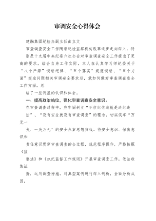 审调安全心得体会.974_1