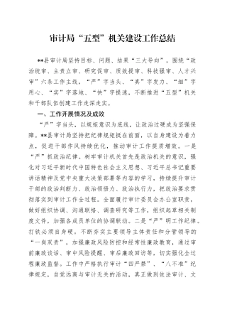 审计局“五型”机关建设工作总结
