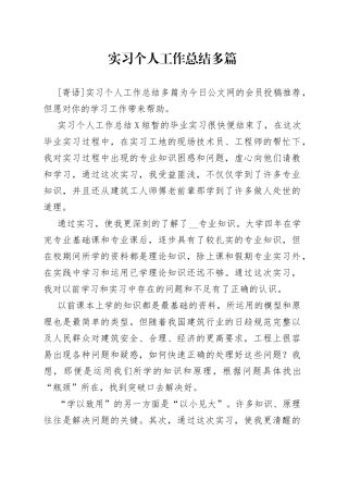 实习个人工作总结多篇