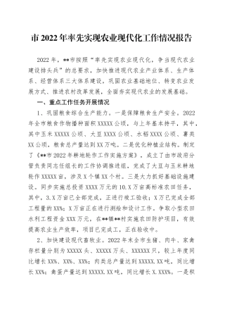 市2022年率先实现农业现代化工作情况报告