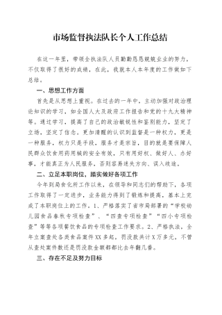市场监督执法队长个人工作总结