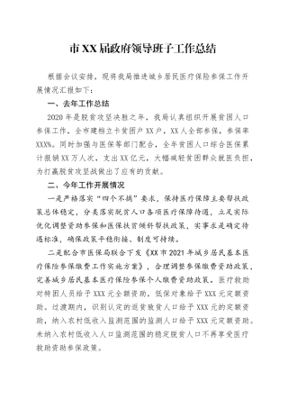 市届政府领导班子工作总结