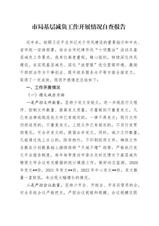 市局基层减负工作开展情况自查报告10