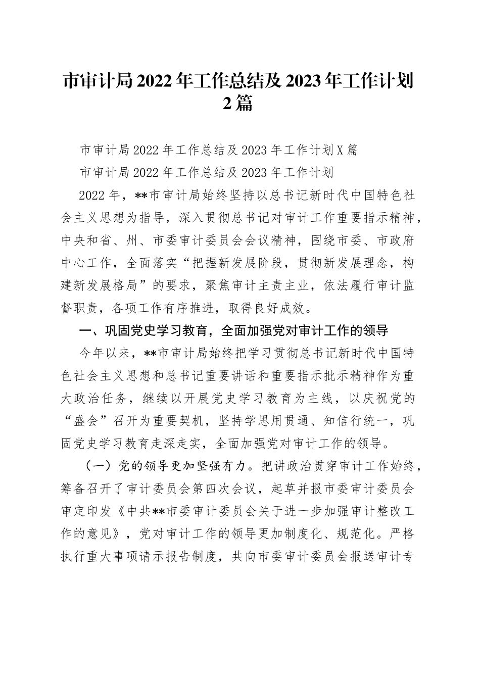 市审计局2022年工作总结及2023年工作计划2篇_第1页