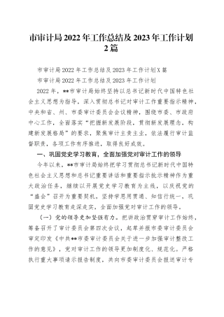 市审计局2022年工作总结及2023年工作计划2篇