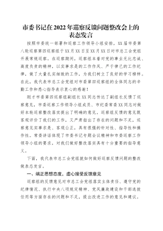 市委书记在2022年巡察反馈问题整改会上的表态发言