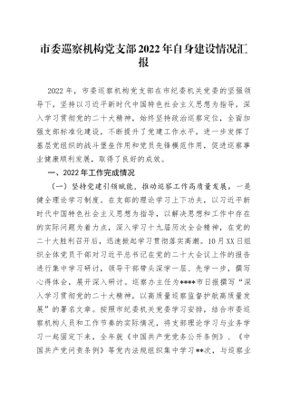 市委巡察机构党支部2022年自身建设情况汇报