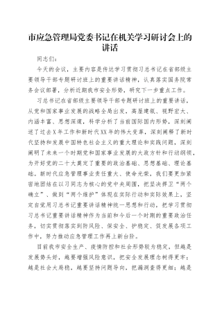 市应急管理局党委书记在机关学习研讨会上的讲话