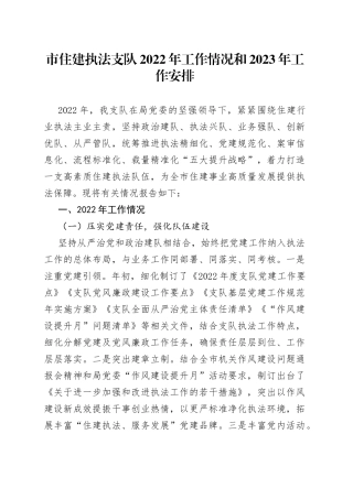 市住建执法支队2022年工作情况和2023年工作安排3