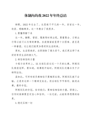 体制内的我2022年年终总结79