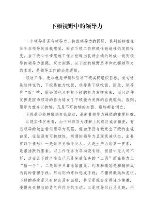 下级视野中的领导力