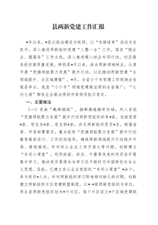县两新党建工作汇报