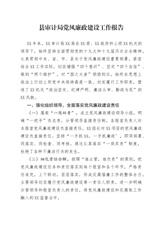 县审计局党风廉政建设工作报告
