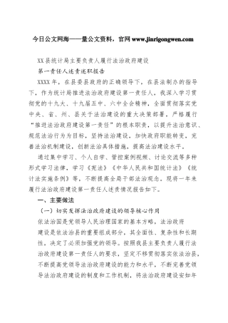 县统计局主要负责人履行法治政府建设第一责任人述责述职报告（20221111）93_1