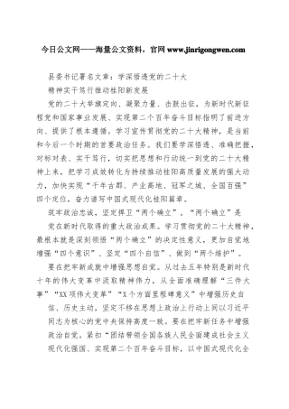 县委书记署名文章：学深悟透党的二十大精神实干笃行推动桂阳新发展（20221126）1_1