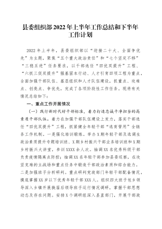 县委组织部2022年上半年工作总结和下半年工作计划