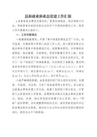 县新就业新业态党建工作汇报
