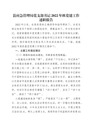 县应急管理局党支部书记2022年抓党建工作述职报告