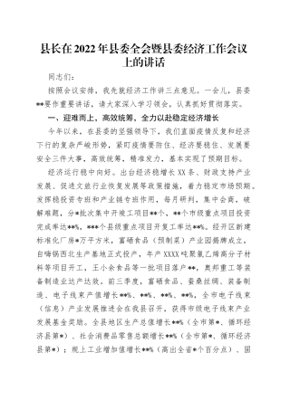 县长在2022年县委全会暨县委经济工作会议上的讲话