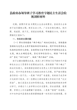 县政府办领导班子学习教育专题民主生活会检视剖析材料