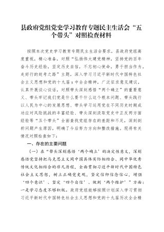 县政府党组党史学习教育专题民主生活会“五个带头”对照检查材料