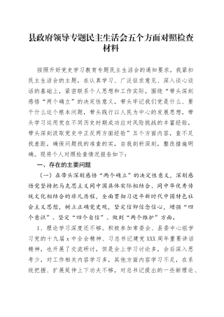 县政府领导专题民主生活会五个方面对照检查材料