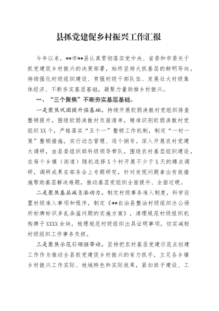 县抓党建促乡村振兴工作汇报