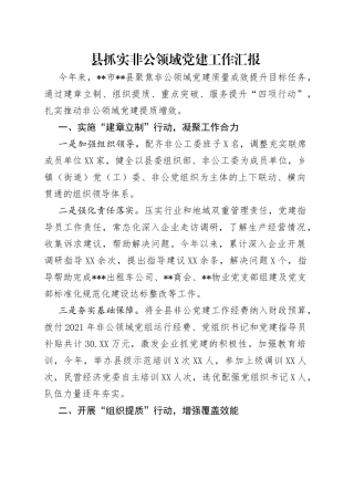 县抓实非公领域党建工作汇报