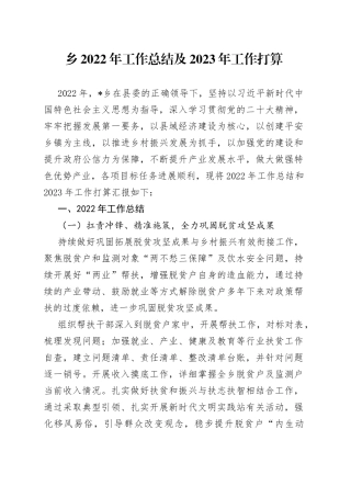 乡2022年工作总结及2023年工作打算5