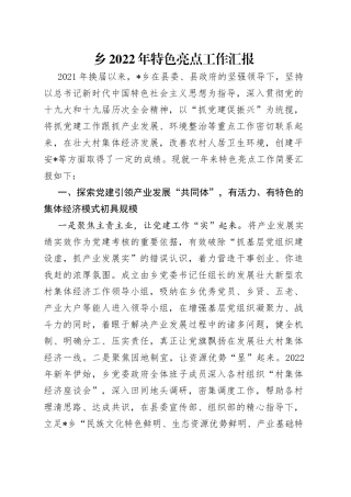 乡2022年特色亮点工作汇报