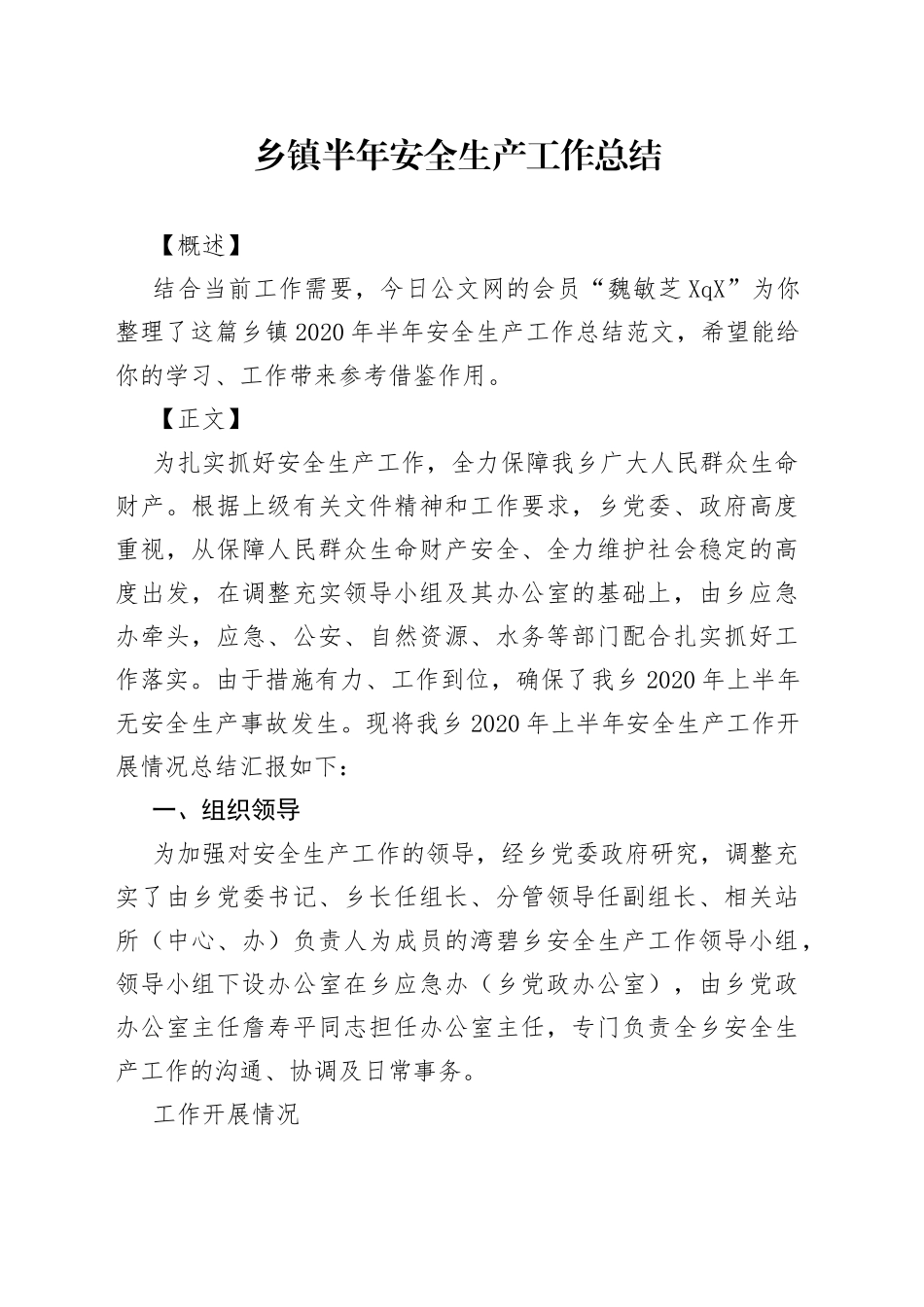 乡镇半年安全生产工作总结_第1页