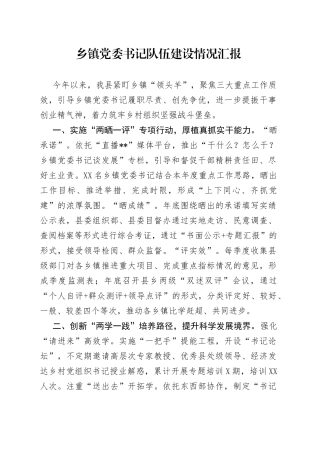 乡镇党委书记队伍建设情况汇报