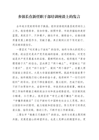 乡镇长在新任职干部培训座谈上的发言