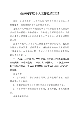 业务员年度个人工作总结2022