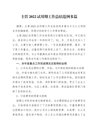 主管2022试用期工作总结范例多篇