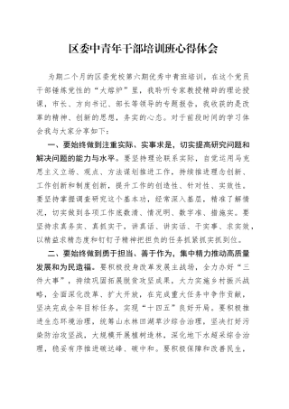 区委中青年干部培训班心得体会