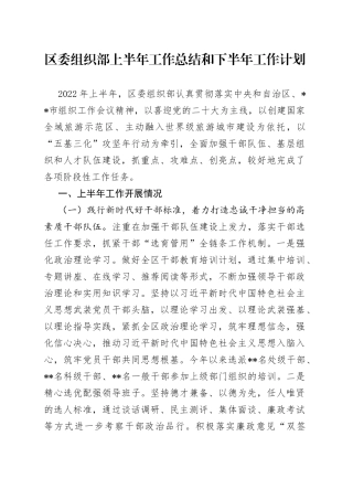区委组织部上半年工作总结和下半年工作计划