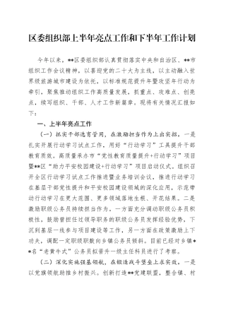区委组织部上半年亮点工作和下半年工作计划