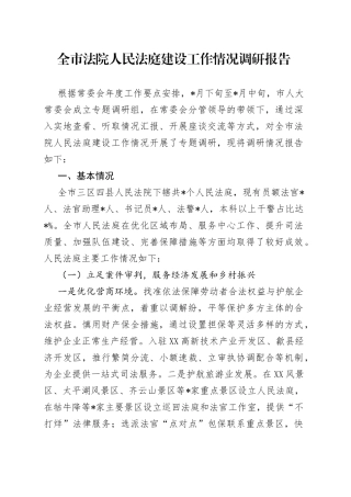 全市法院人民法庭建设工作情况调研报告