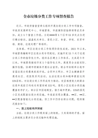 全市垃圾分类工作专项督查报告