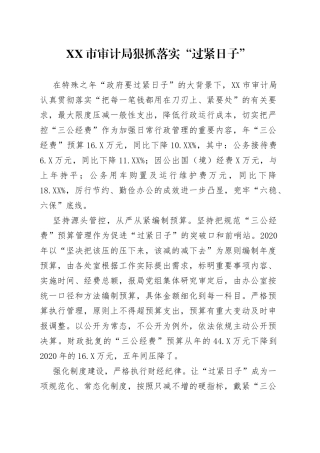 市审计局狠抓落实“过紧日子”