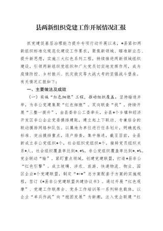 县两新组织党建工作开展情况汇报