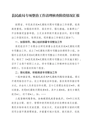 县民政局专项整治工作清理核查阶段情况汇报