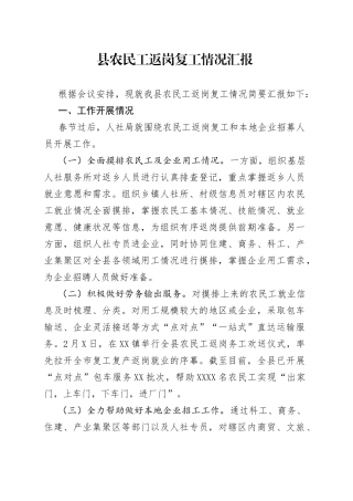 县农民工返岗复工情况汇报