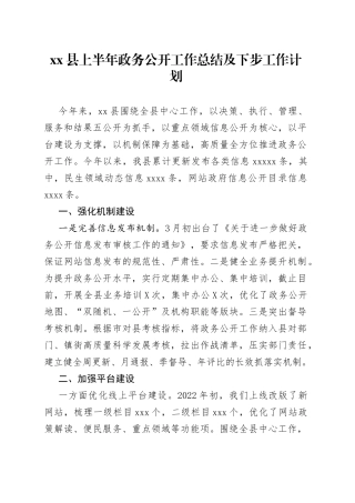 县上半年政务公开工作总结及下步工作计划