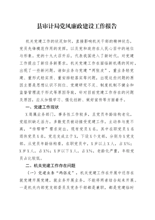 县审计局党风廉政建设工作报告